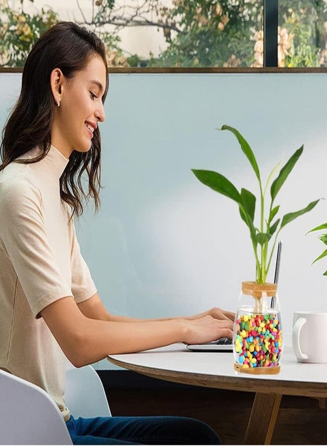 VAYINATO® Decorative Mixed Peables Colour Stone for Aquarium Fish Tank and Indoor Home Decoration and Garden Decor (1 Kg Pack) by Petzlifeworld - Image 5